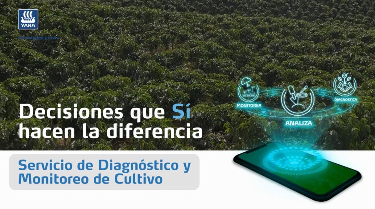 Servicio de Diagnóstico y Monitoreo en Campo