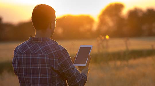 Términos y condiciones Sitio Web