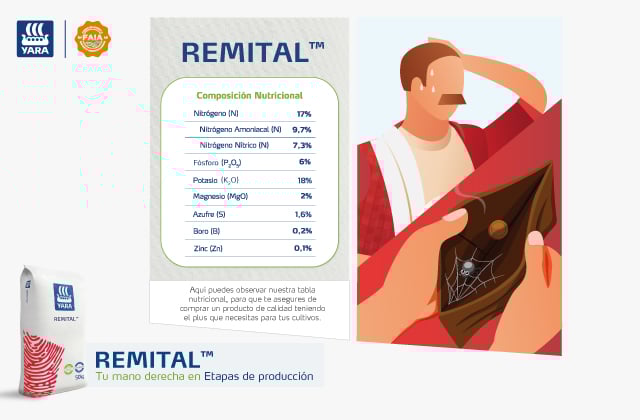 REMITAL