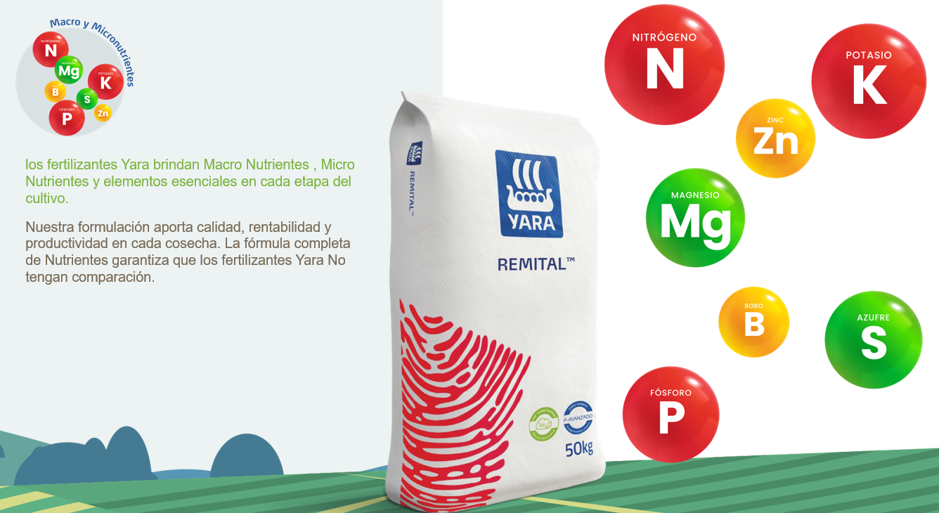 Soluciones Nutricionales para Café