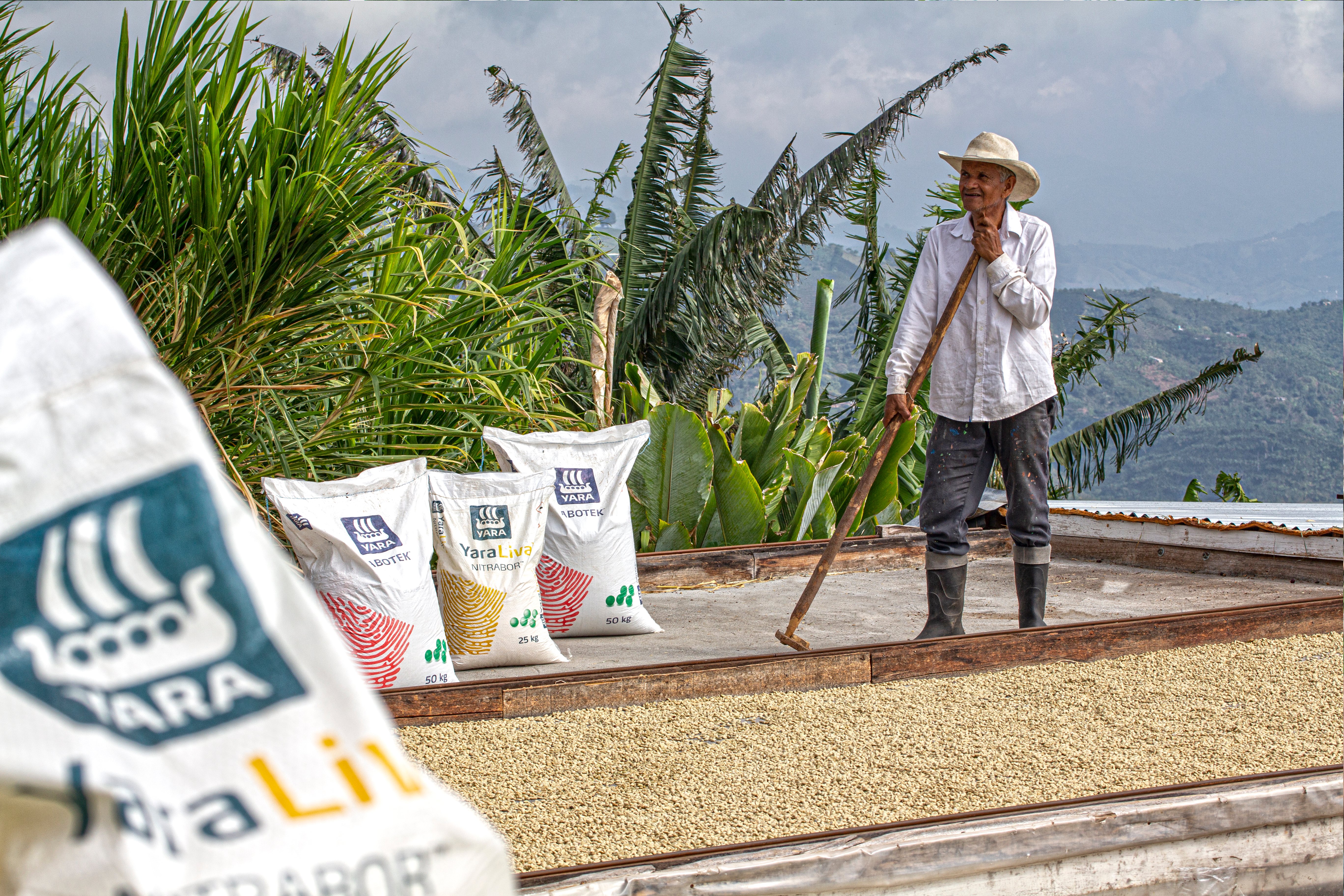 No dejes de participar