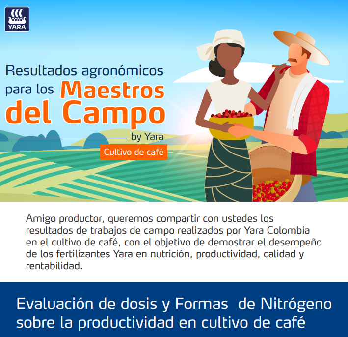3. Evaluación de dosis y Formas de Nitrógeno  sobre la productividad en cultivo de café