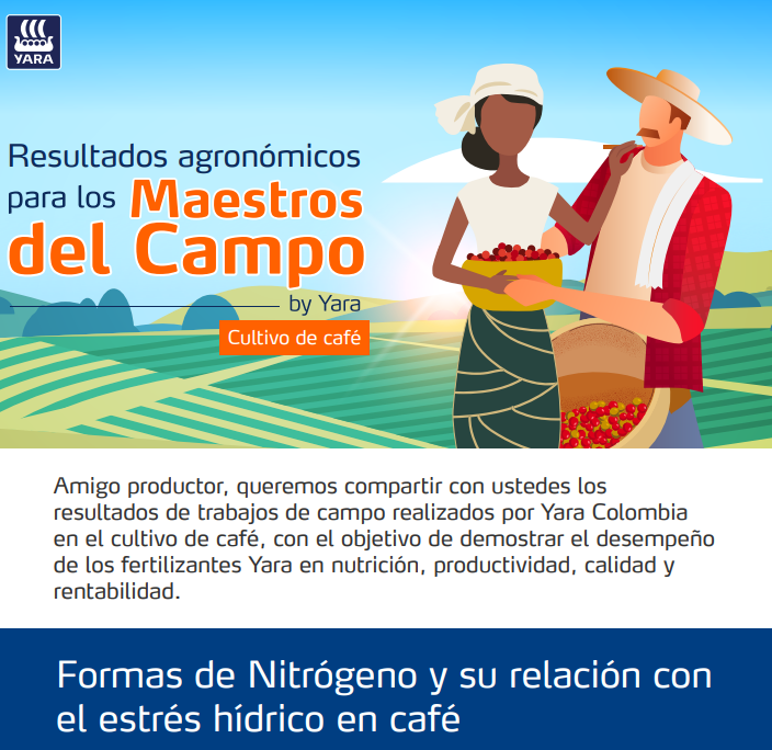 Formas de Nitrógeno y su relación con  el estrés hídrico en café