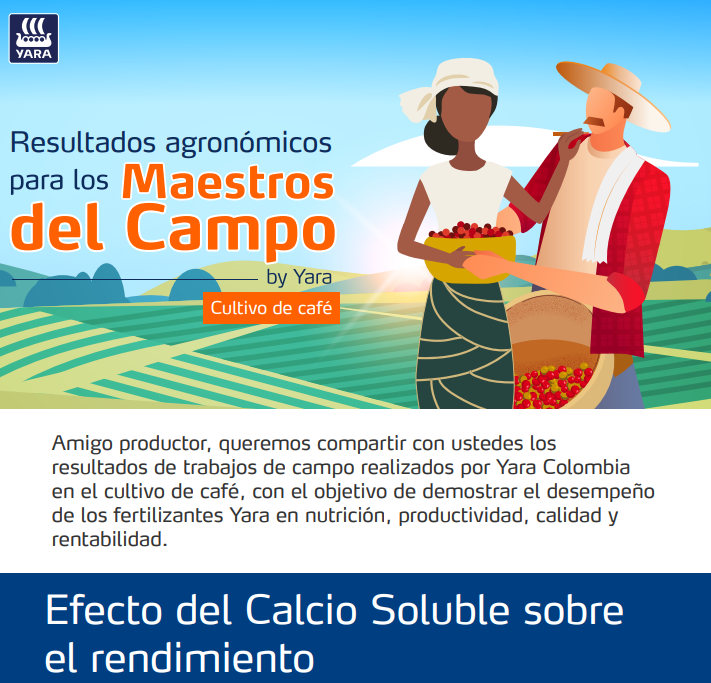  Efecto del Calcio Soluble sobre  el rendimiento