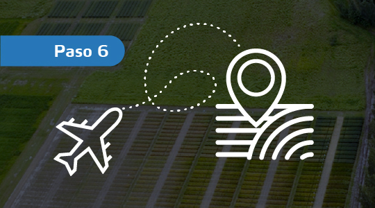 Viaje de muestra a l Reino Unido